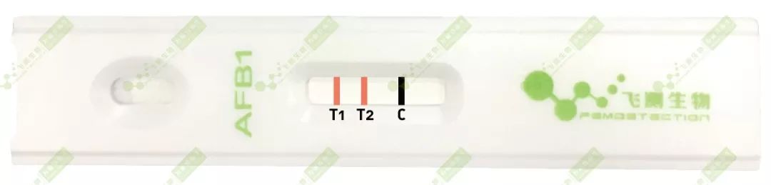 雙T線檢測(cè)定量法 雙T線檢測(cè)定量法