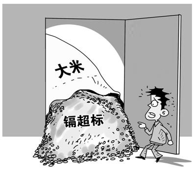 鎘超標大米 鎘超標大米