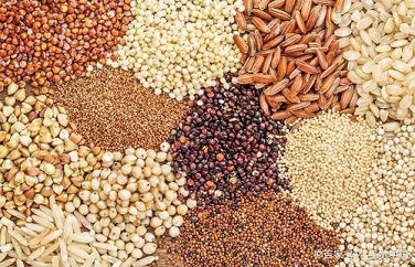 真菌毒素 真菌毒素