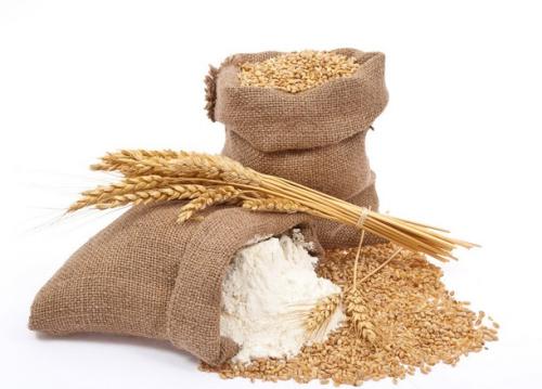 小麥面粉嘔吐毒素 小麥面粉嘔吐毒素