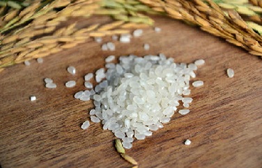 大米重金屬 大米重金屬